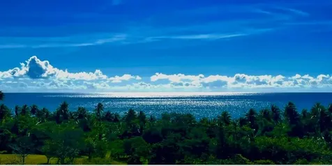 5015 Punta Tuna Maunabo PR 00707