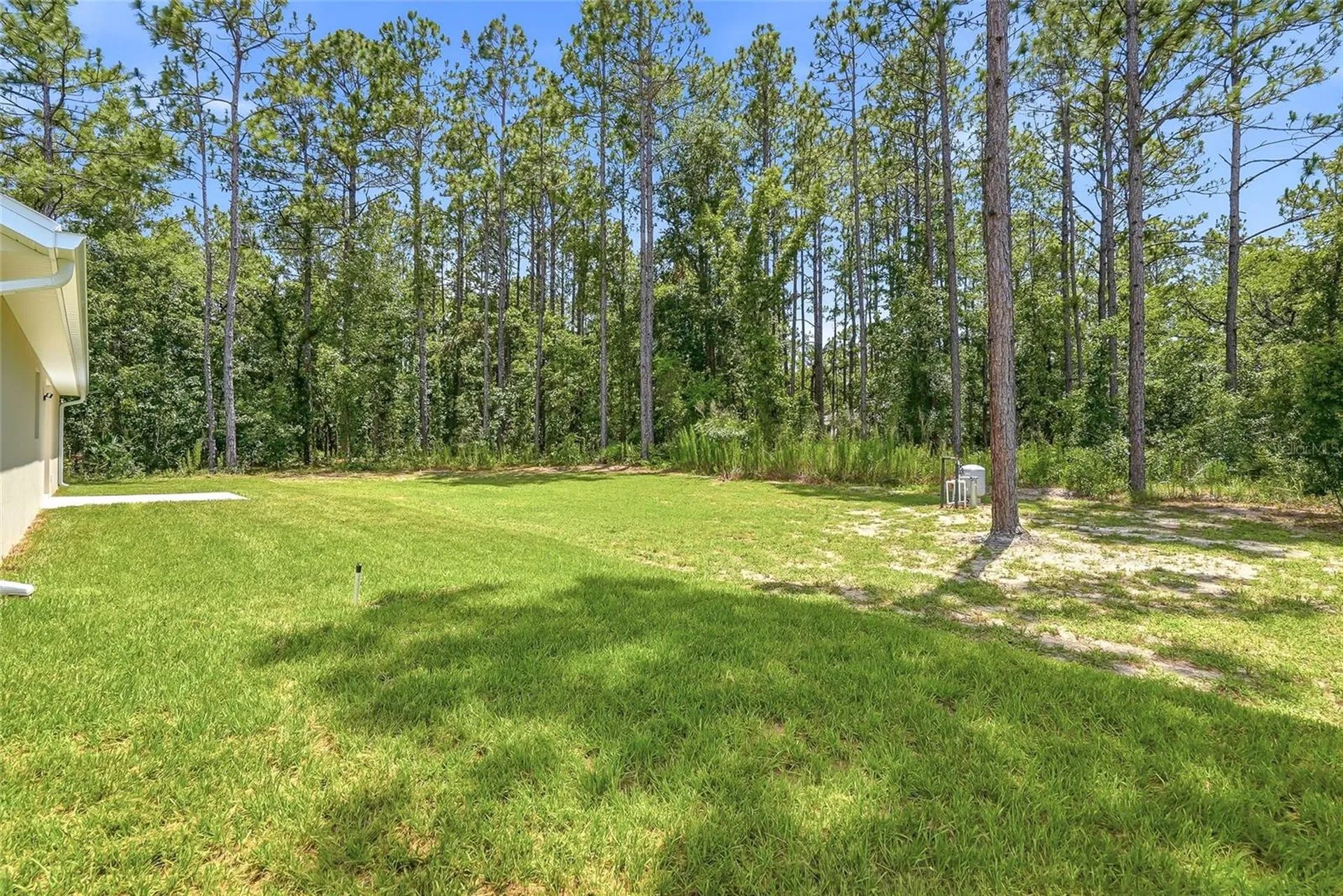 16325 Force Road Brooksville FL 34614