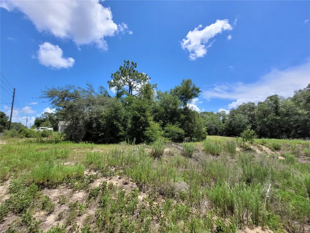 0 SW 204th Avenue (lot 6) Dunnellon FL 34431