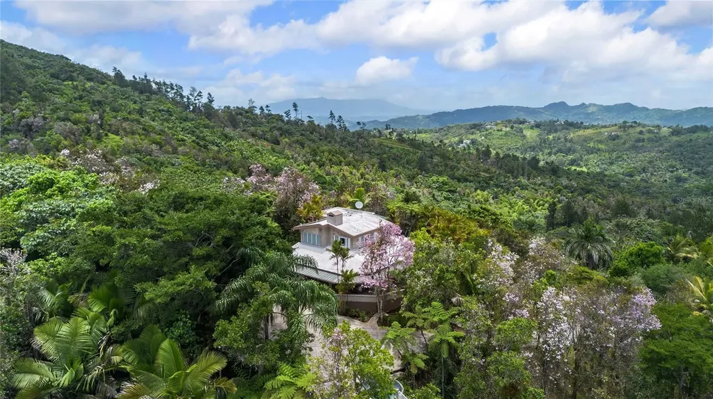 PR-184 Guavate Cayey PR 00736