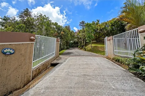 PR-184 Guavate Cayey PR 00736