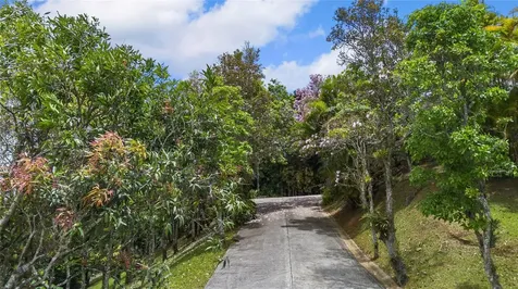 PR-184 Guavate Cayey PR 00736