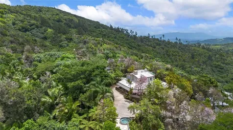 PR-184 Guavate Cayey PR 00736