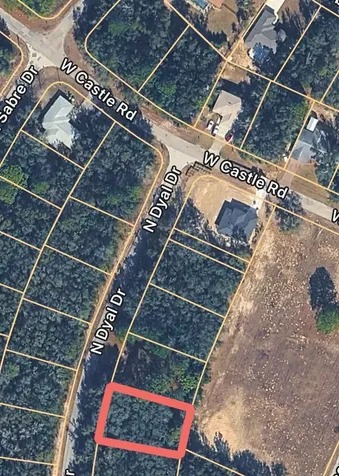 10161 N Dyal Drive Citrus Springs FL 34434