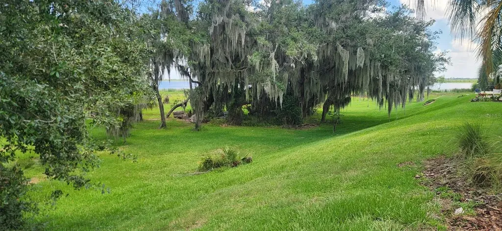 3316 Fish Hawk Drive Polk City FL 33868