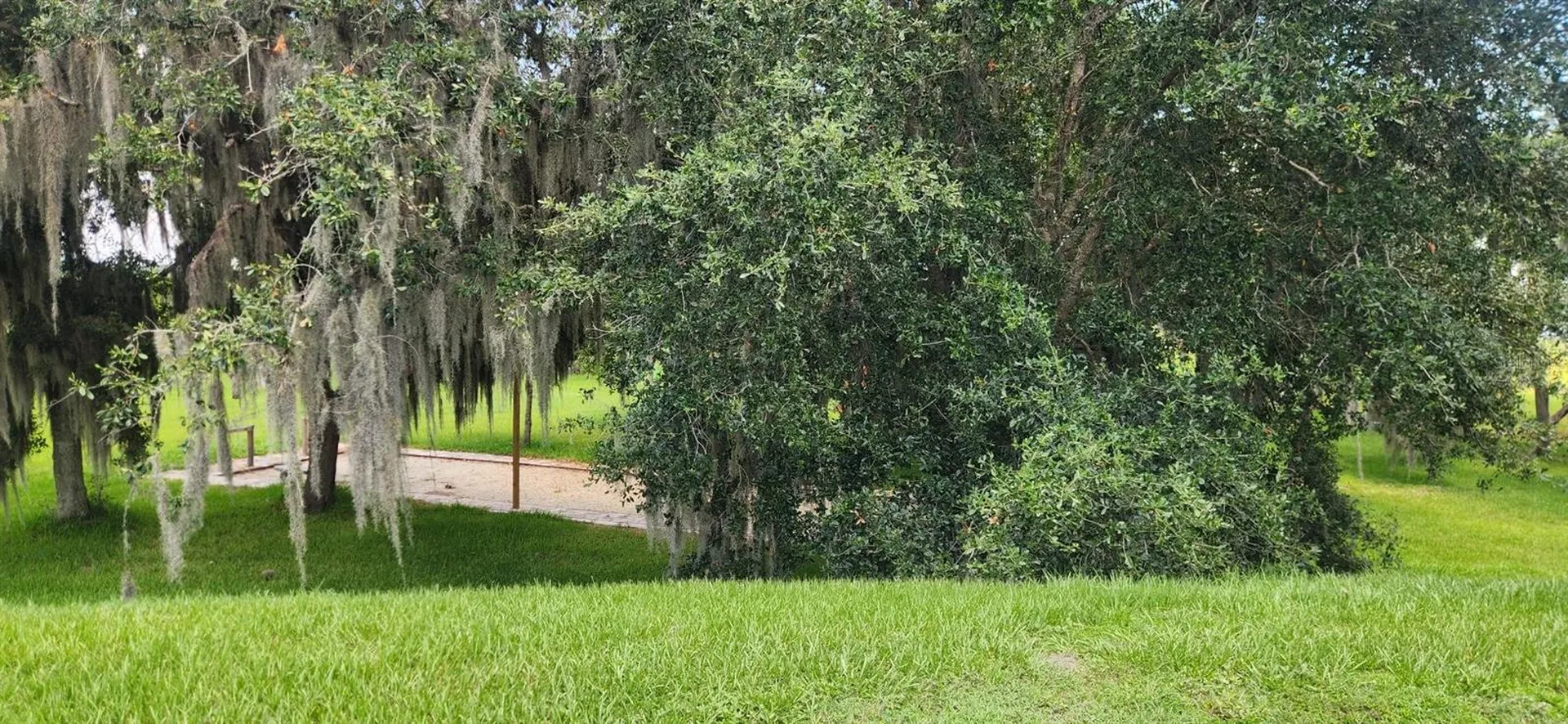 3316 Fish Hawk Drive Polk City FL 33868