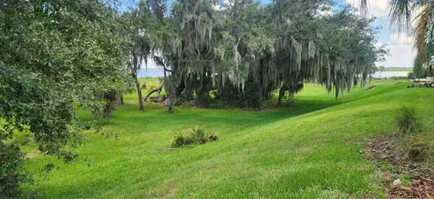 3316 Fish Hawk Drive Polk City FL 33868
