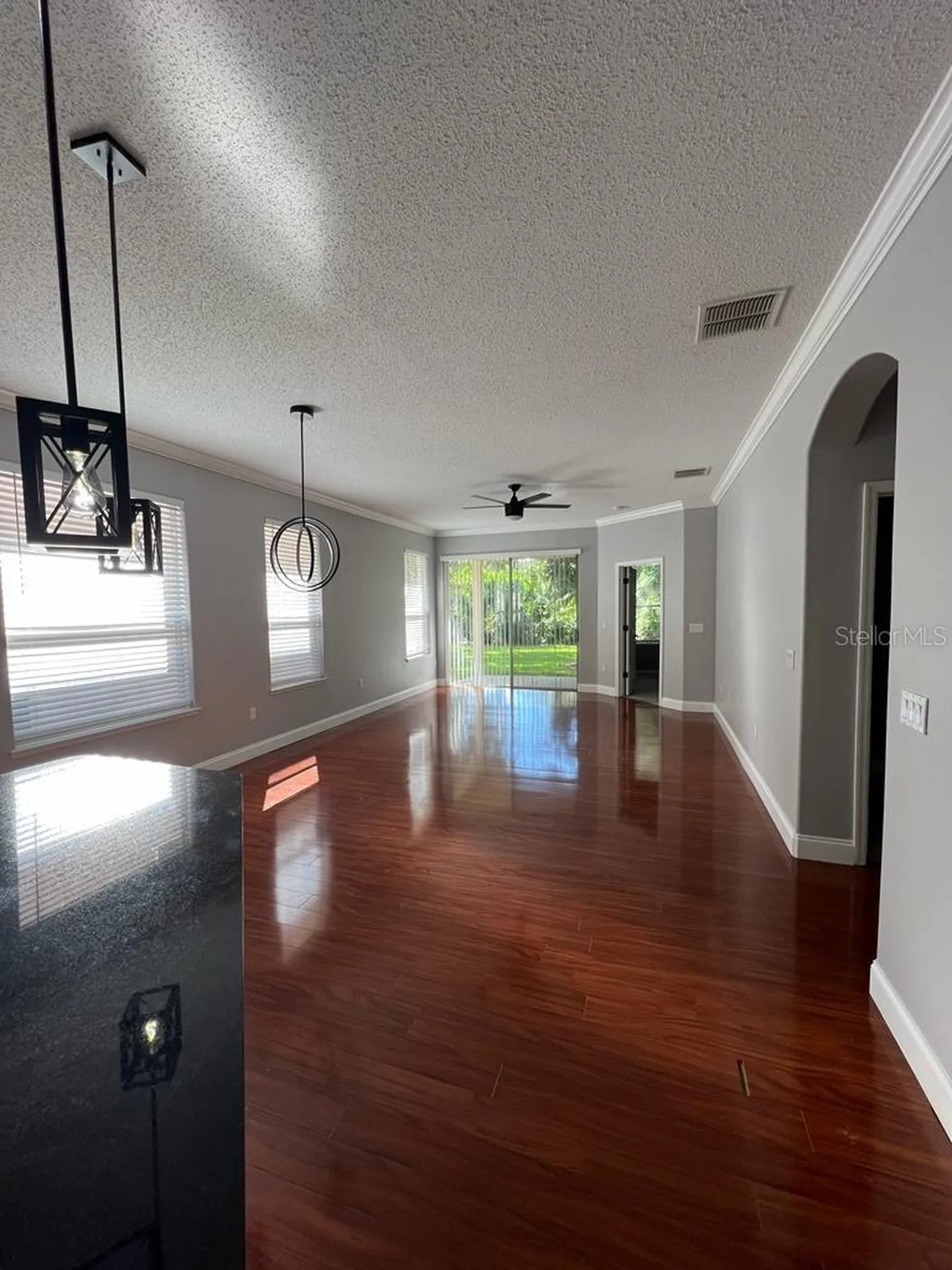 1604 Eagle Feather Drive Kissimmee FL 34746
