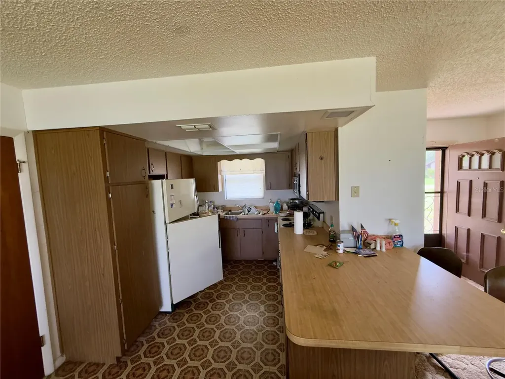 1082 Cr 457 Lake Panasoffkee FL 33538