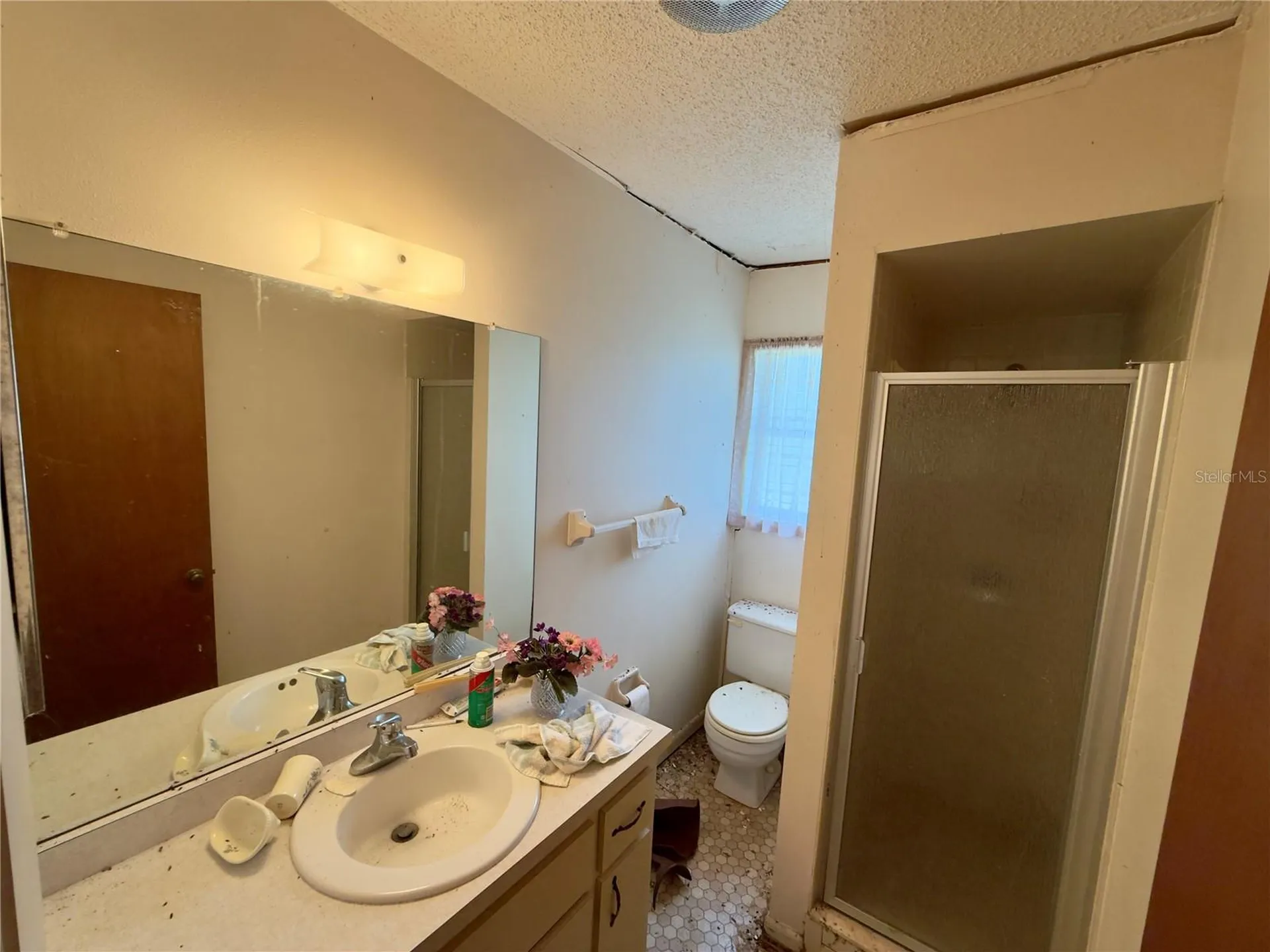 1082 Cr 457 Lake Panasoffkee FL 33538