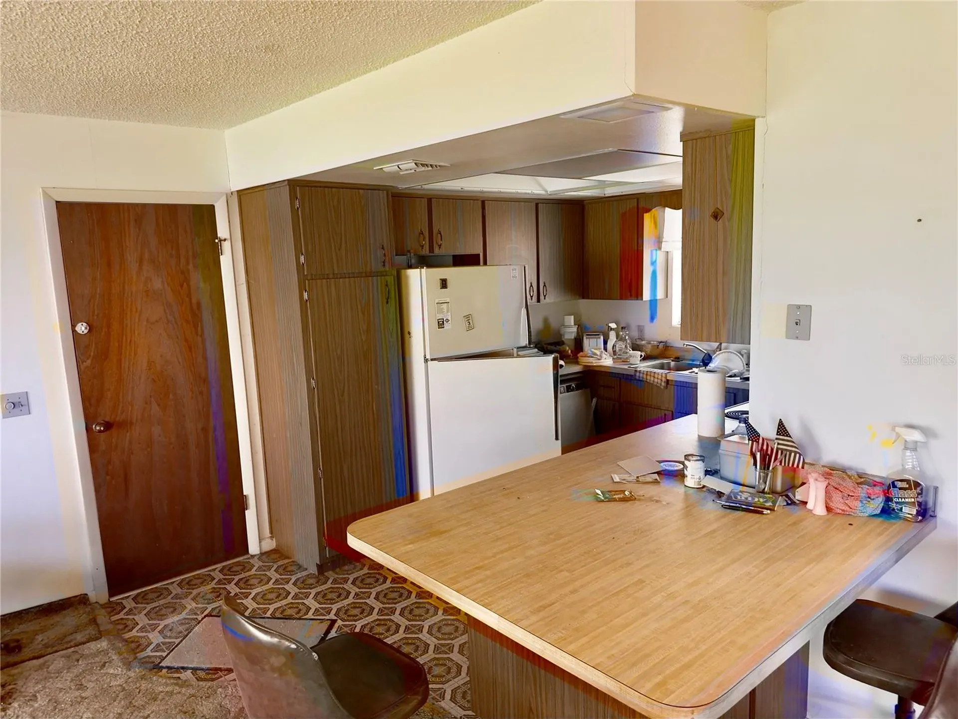 1082 Cr 457 Lake Panasoffkee FL 33538