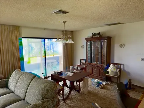 1082 Cr 457 Lake Panasoffkee FL 33538