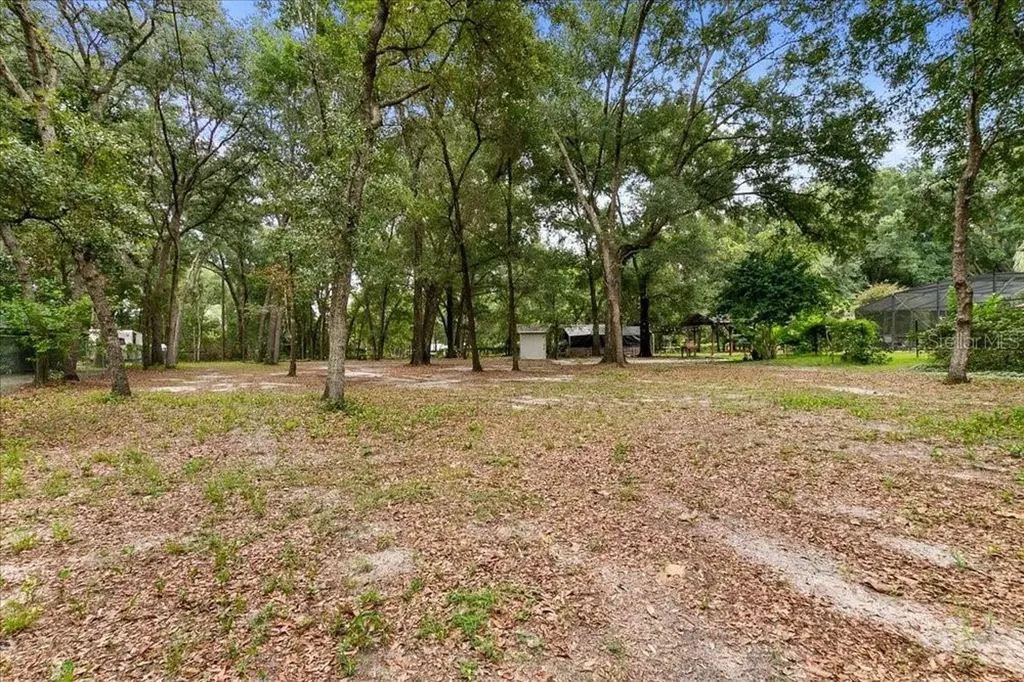 2619 W Ponkan Road Apopka FL 32712