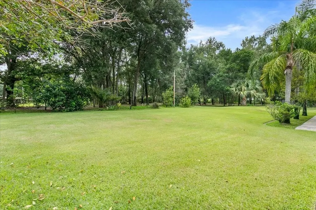 2619 W Ponkan Road Apopka FL 32712