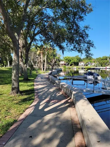 5651 Orange Grove Avenue New Port Richey FL 34652
