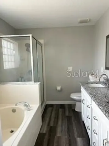 825 Breezy Lake Way Minneola FL 34715