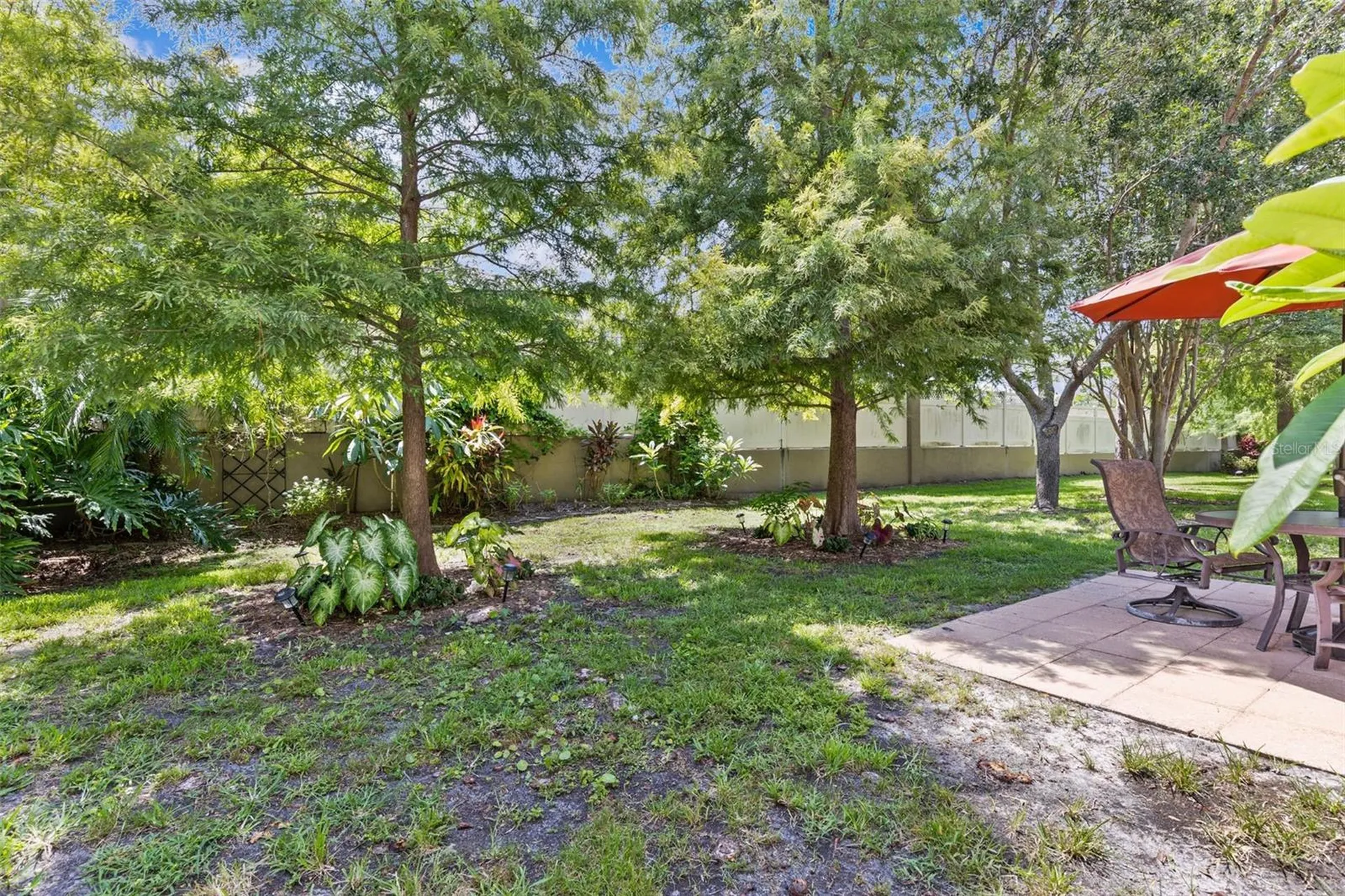 3350 Covered Bridge Drive W Dunedin FL 34698