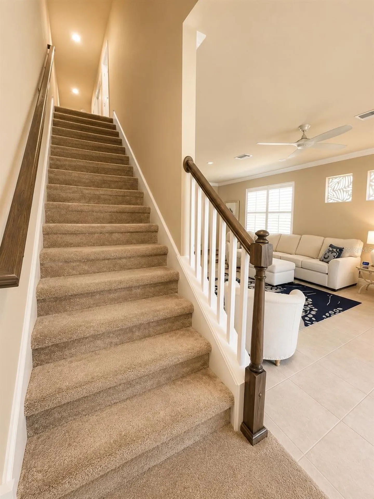 1879 Trailside Drive Palm Harbor FL 34683
