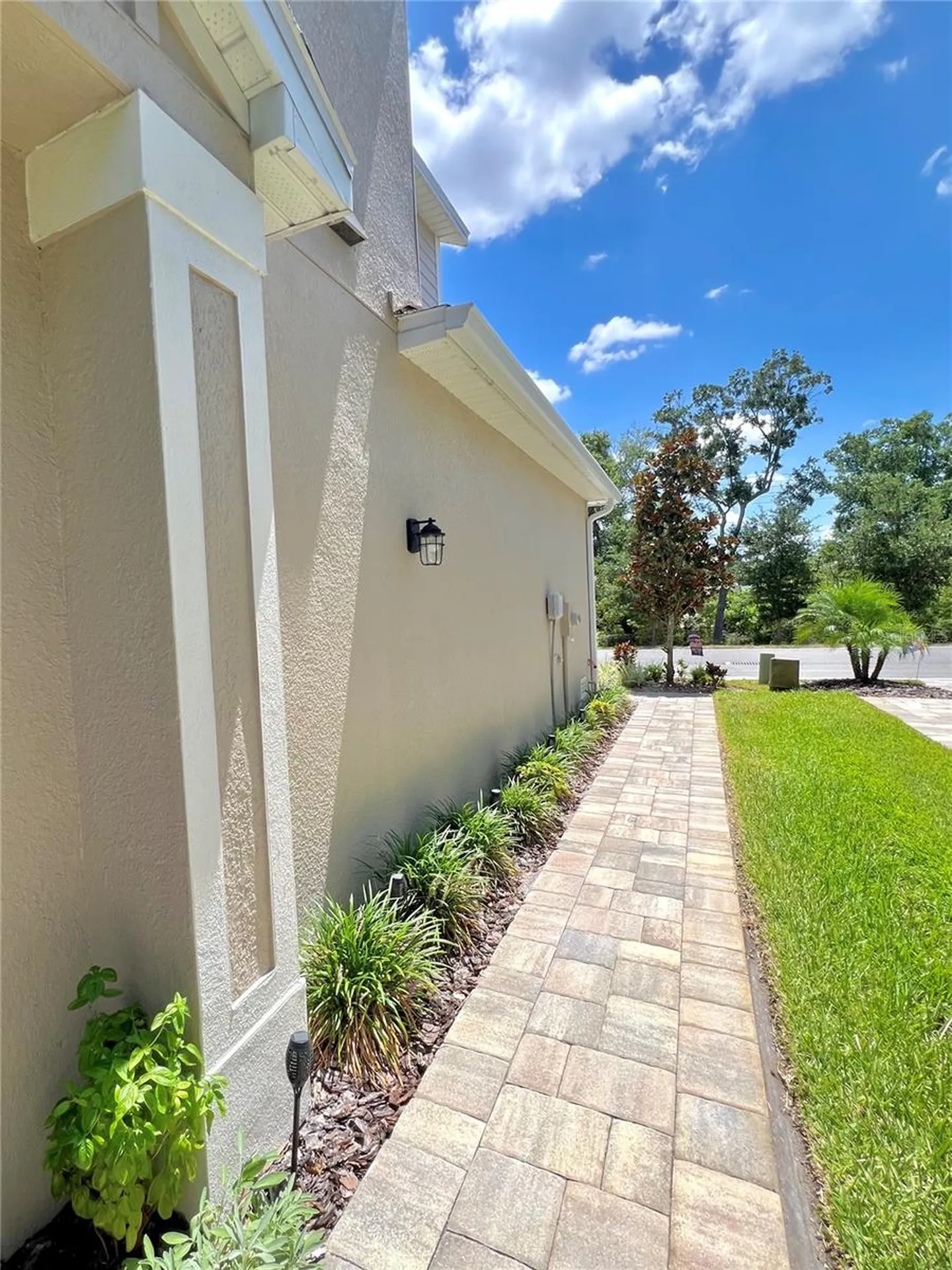 1879 Trailside Drive Palm Harbor FL 34683