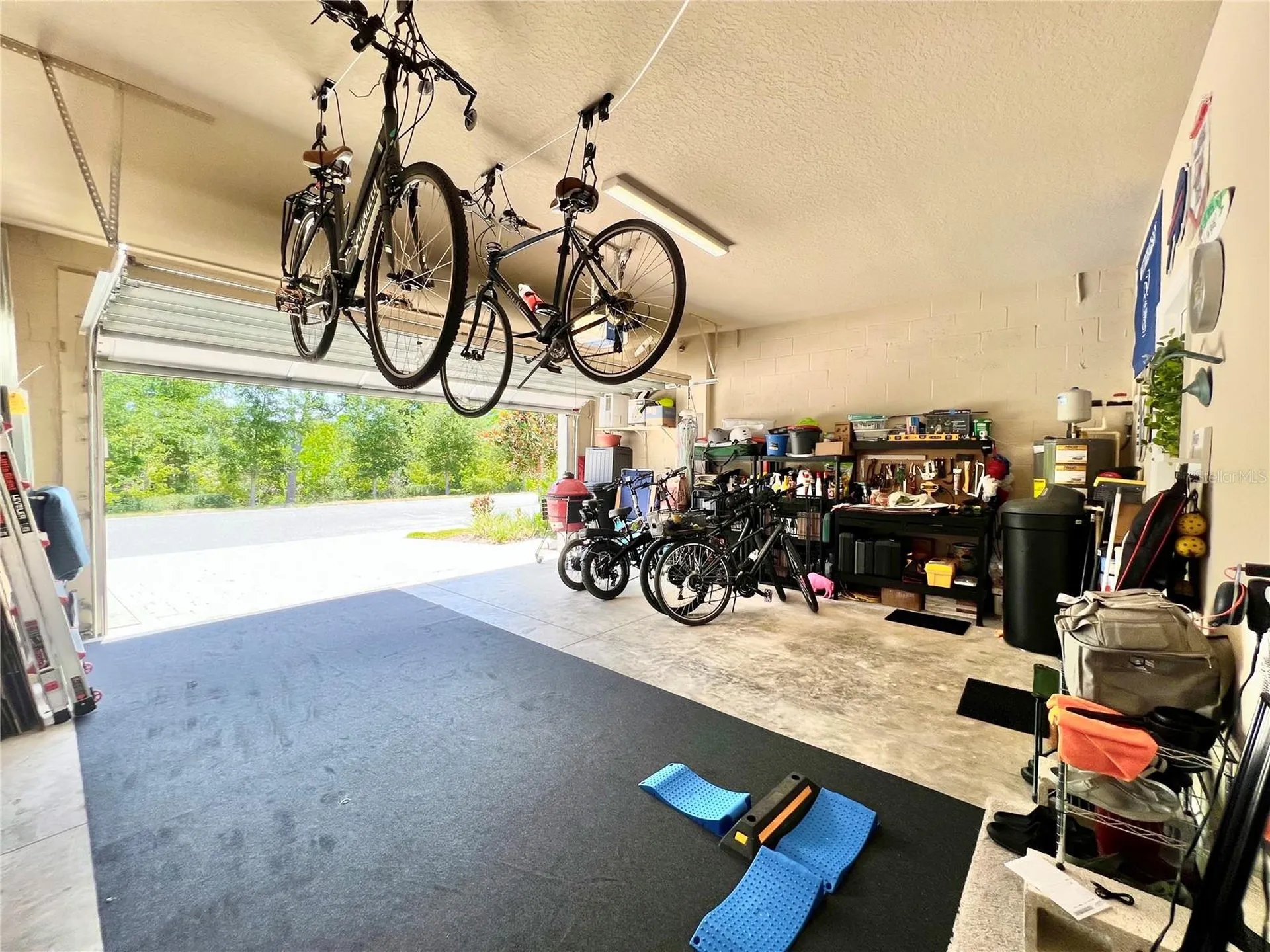 1879 Trailside Drive Palm Harbor FL 34683
