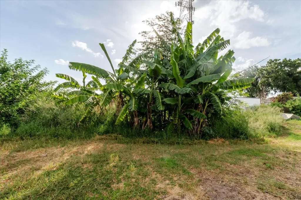 11109 Sumner Road Wimauma FL 33598