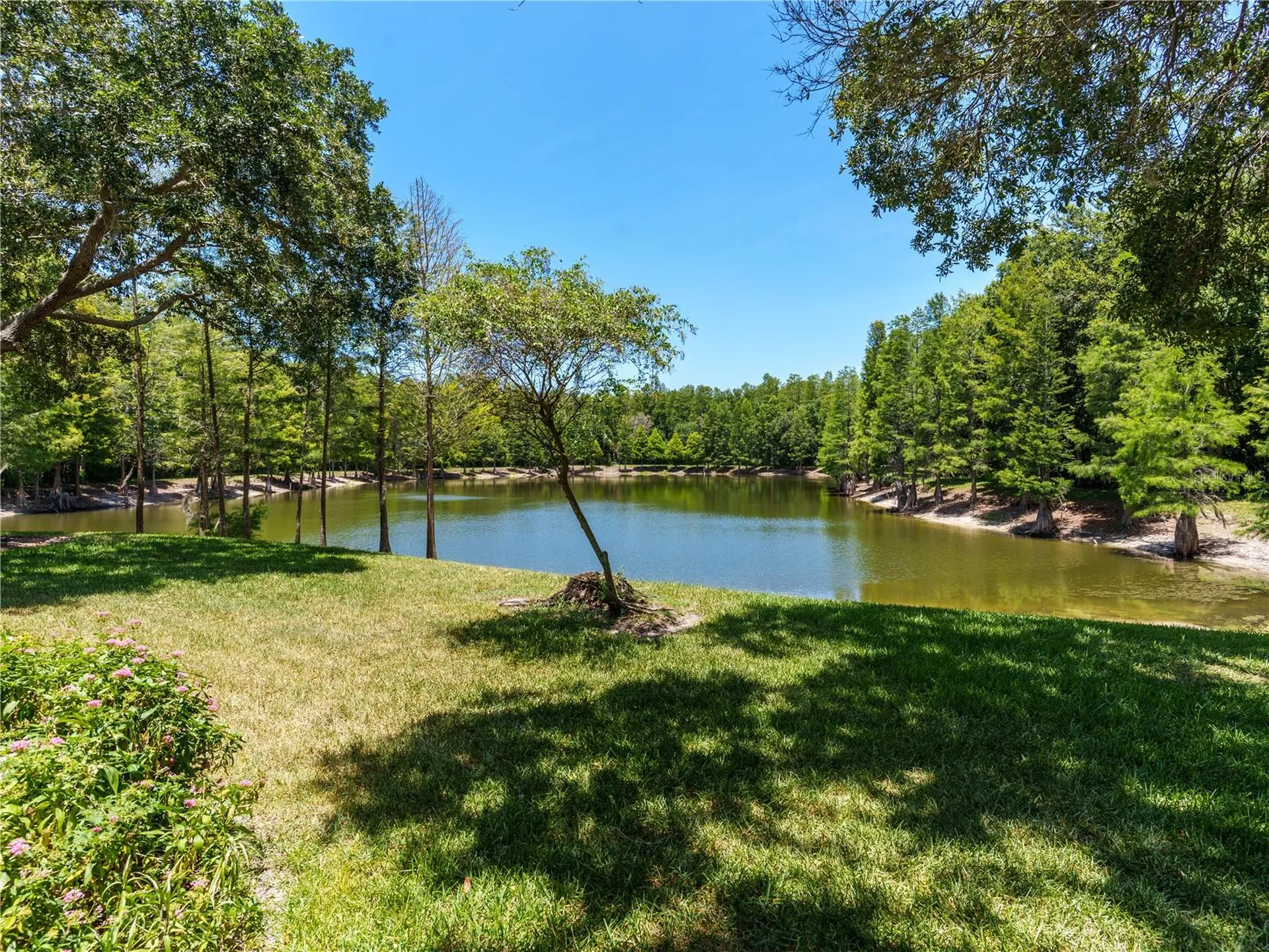 7207 Sharpsburg Boulevard New Port Richey FL 34653