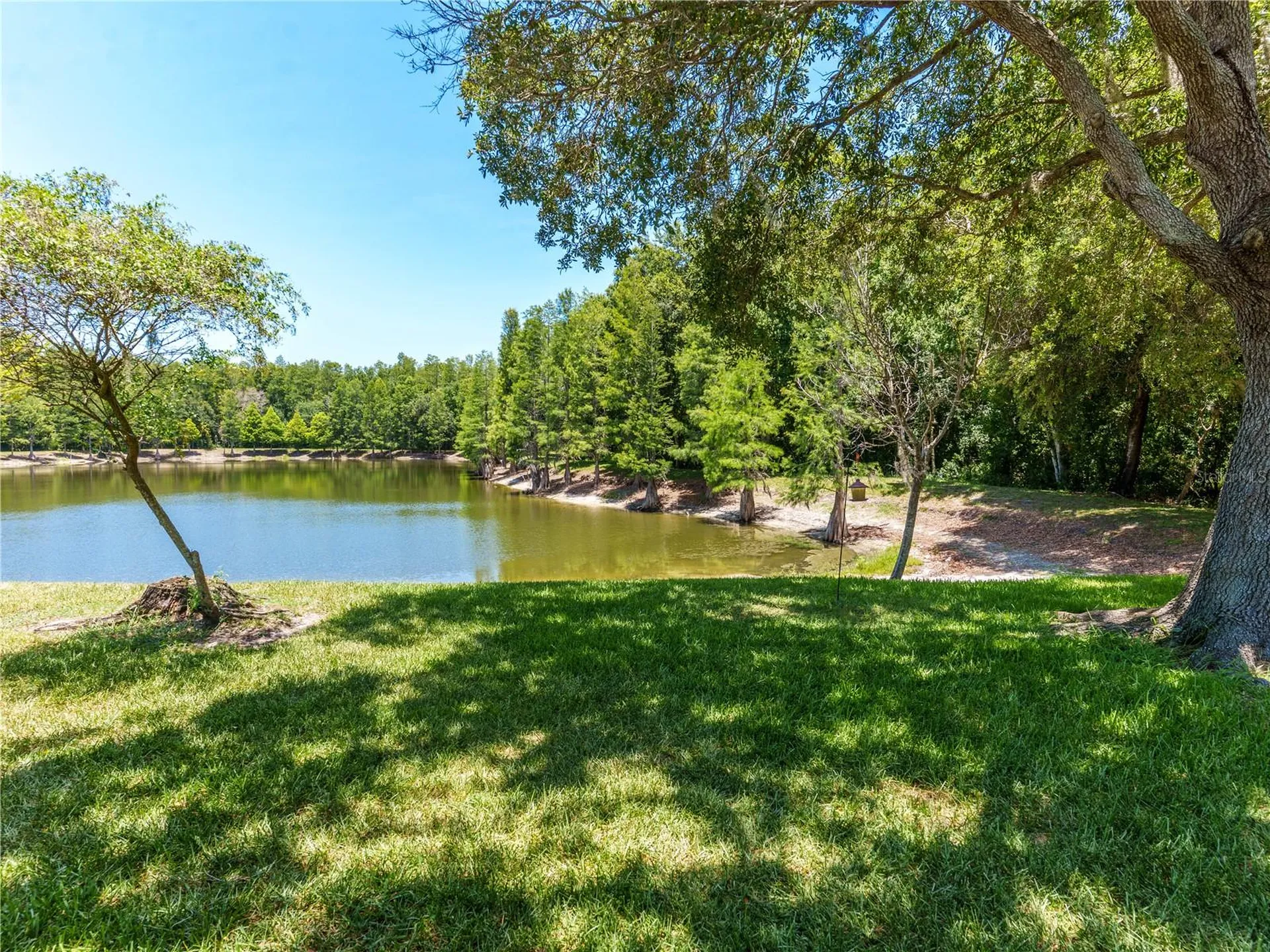 7207 Sharpsburg Boulevard New Port Richey FL 34653