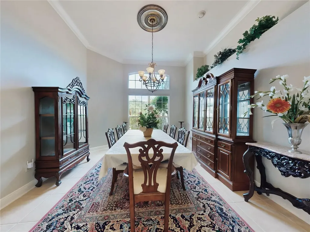649 Ternberry Forest Drive The Villages FL 32162