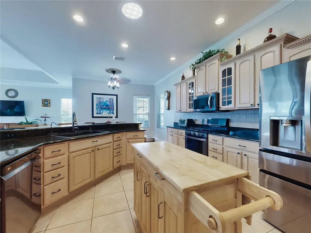 649 Ternberry Forest Drive The Villages FL 32162