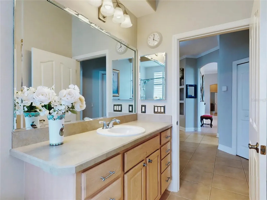 649 Ternberry Forest Drive The Villages FL 32162