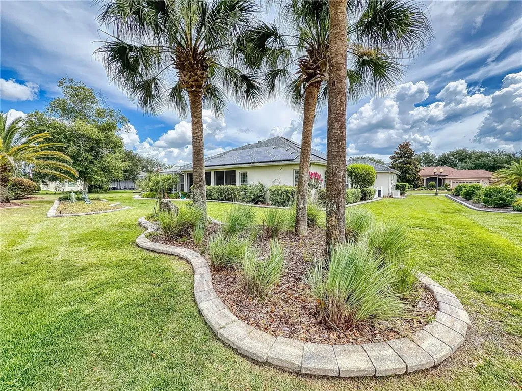 649 Ternberry Forest Drive The Villages FL 32162