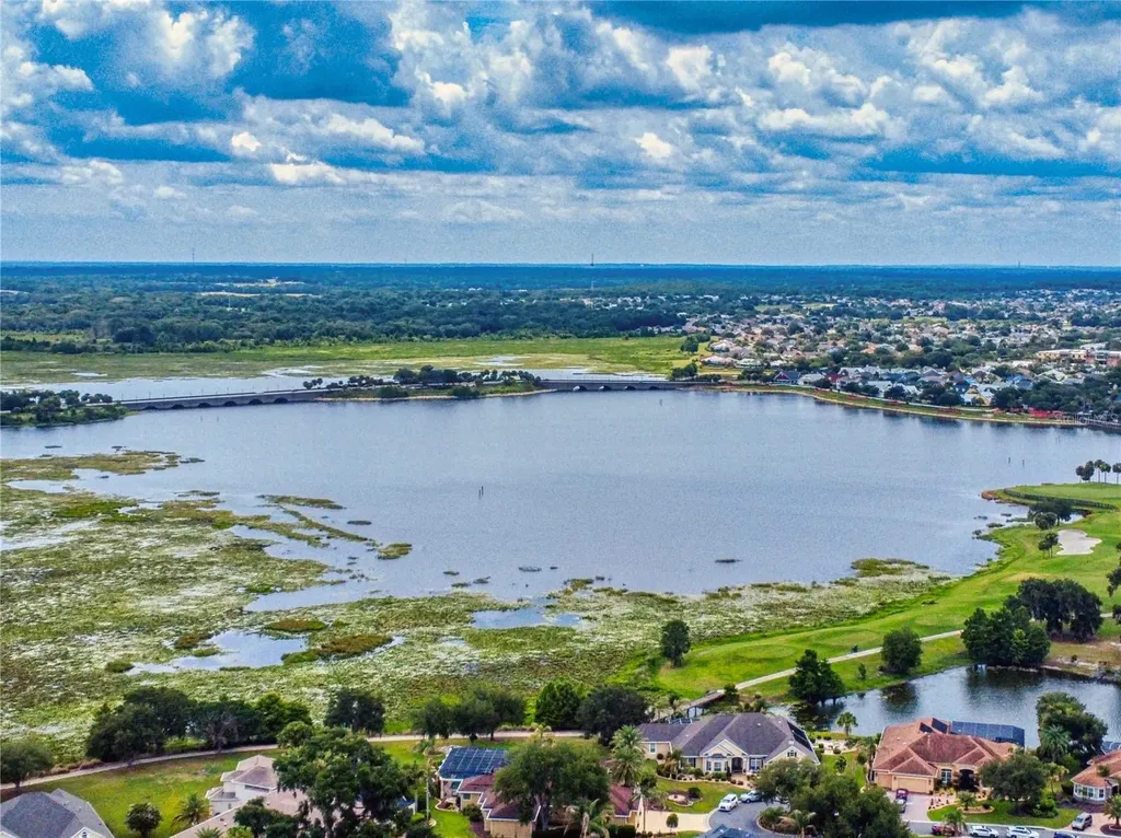 649 Ternberry Forest Drive The Villages FL 32162