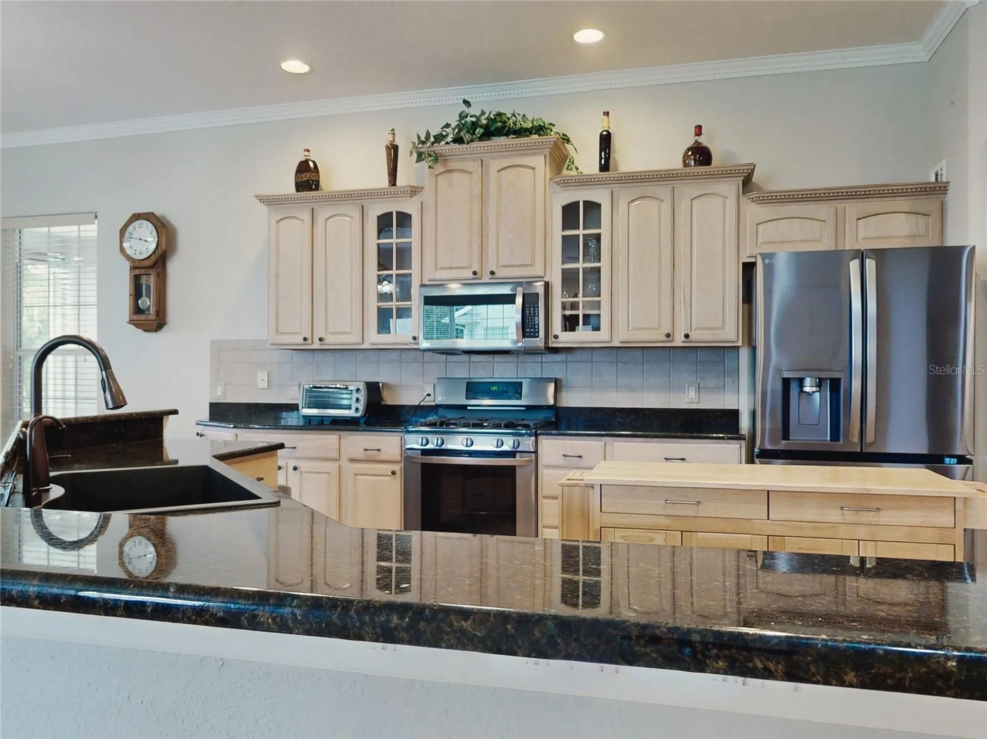 649 Ternberry Forest Drive The Villages FL 32162