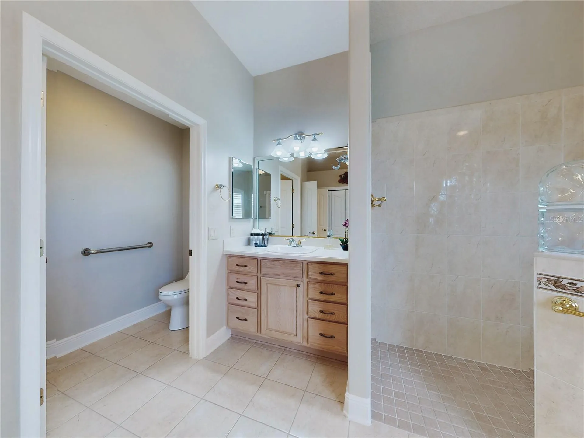 649 Ternberry Forest Drive The Villages FL 32162