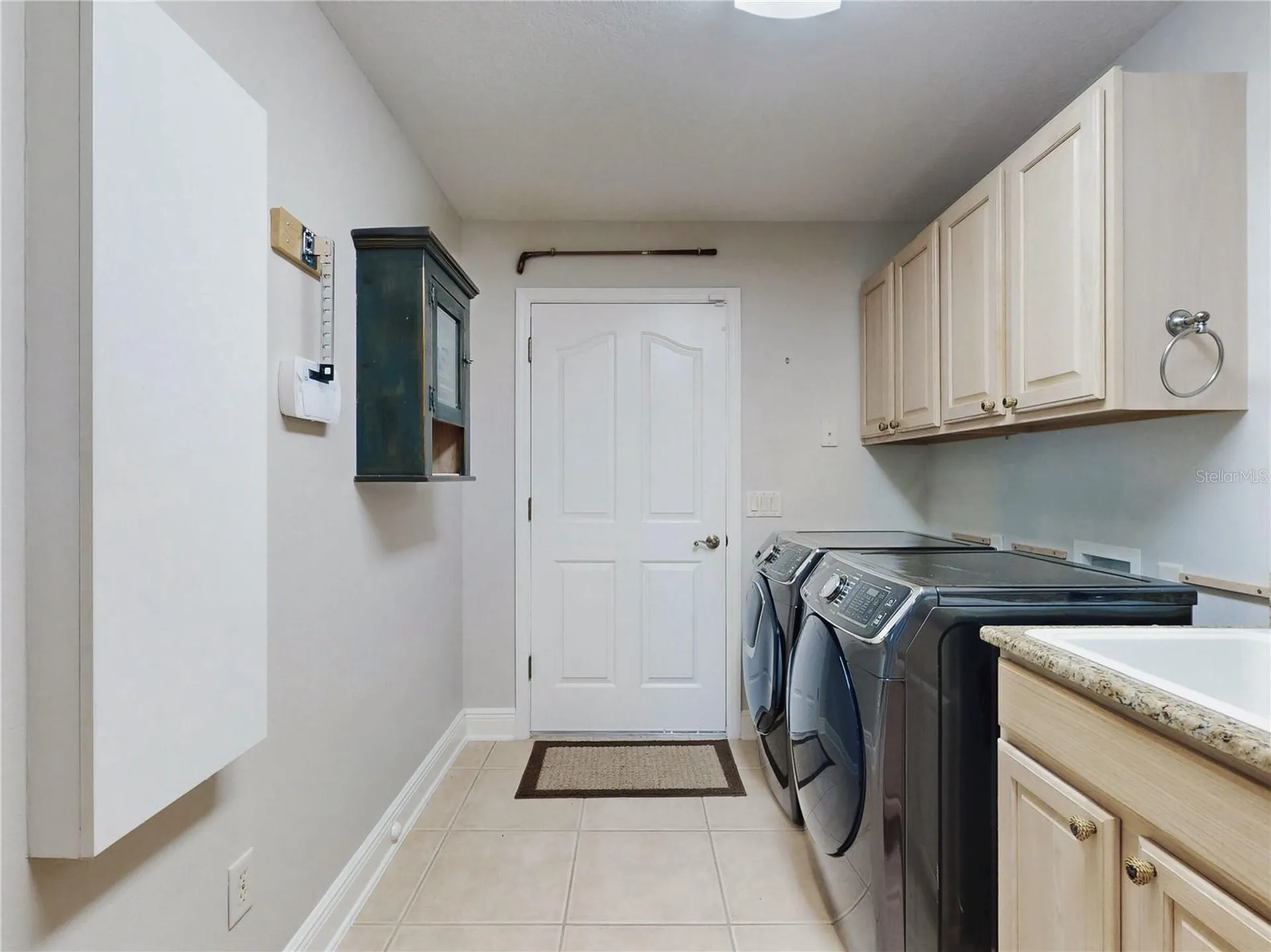 649 Ternberry Forest Drive The Villages FL 32162