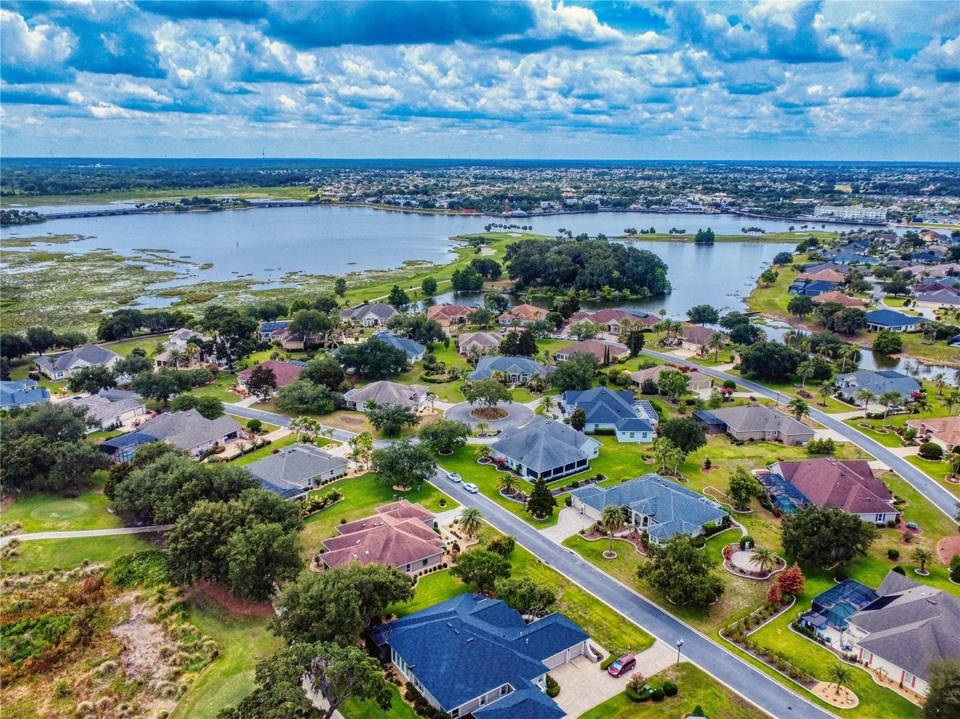 649 Ternberry Forest Drive The Villages FL 32162