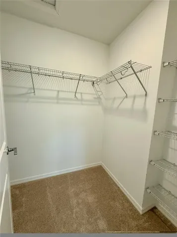 15132 Cuzcorro Court Nokomis FL 34275