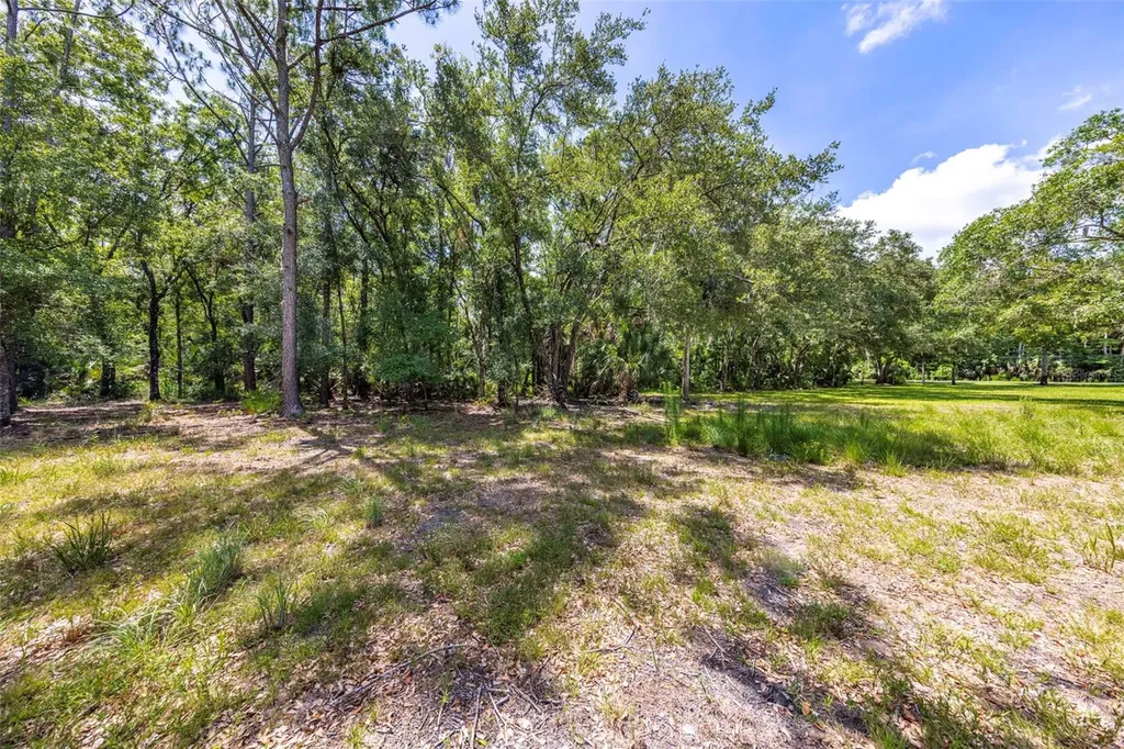 8844 Shenandoah Run Wesley Chapel FL 33544