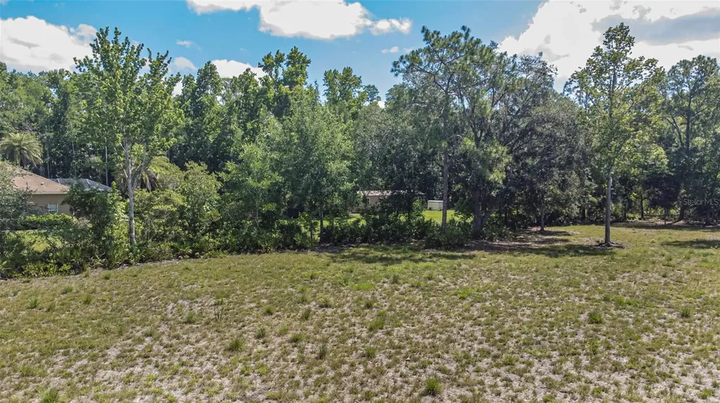8844 Shenandoah Run Wesley Chapel FL 33544