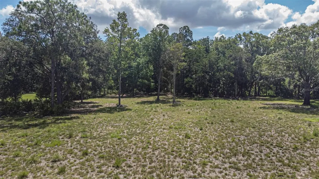 8844 Shenandoah Run Wesley Chapel FL 33544