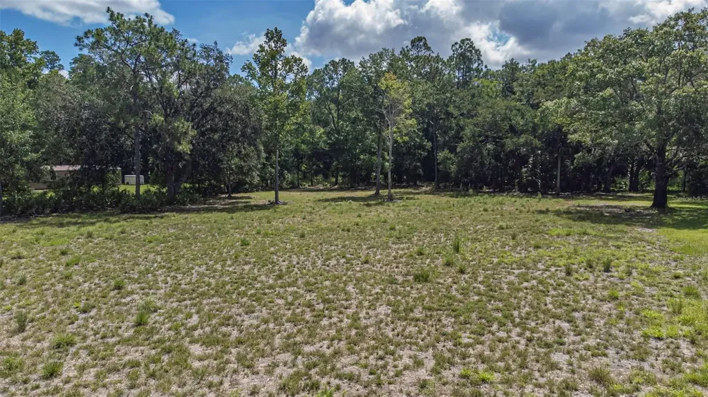 8844 Shenandoah Run Wesley Chapel FL 33544