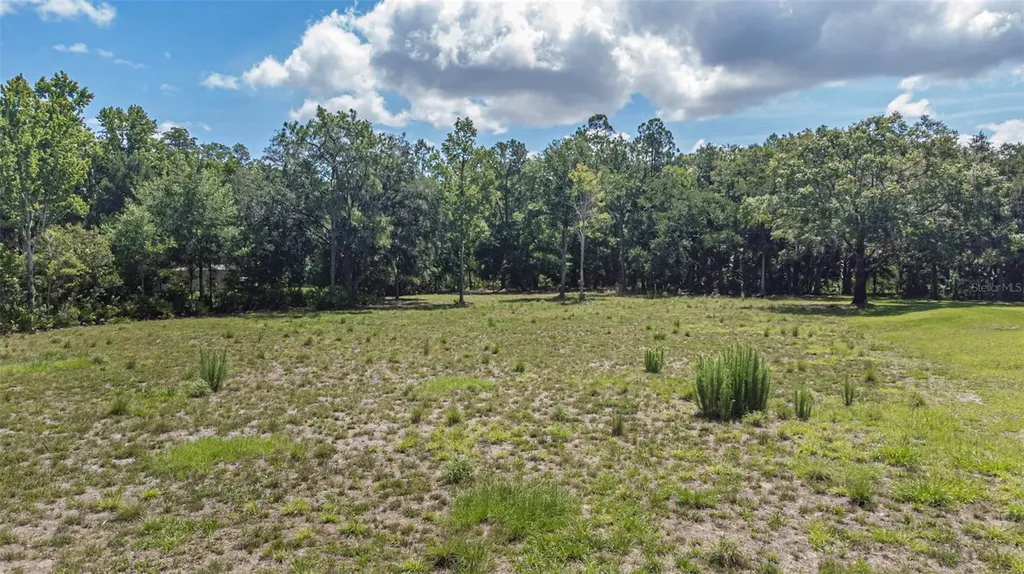 8844 Shenandoah Run Wesley Chapel FL 33544