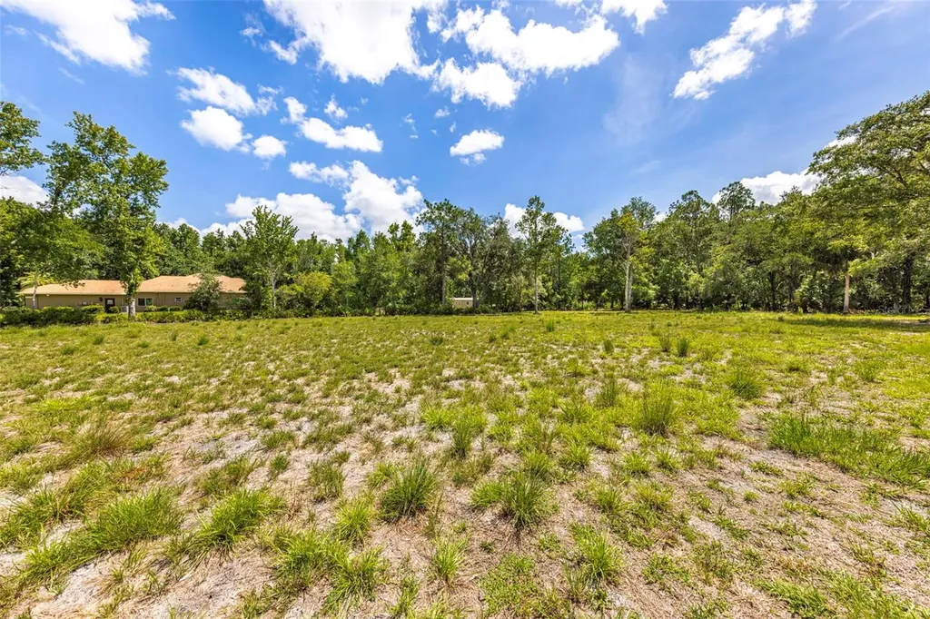 8844 Shenandoah Run Wesley Chapel FL 33544