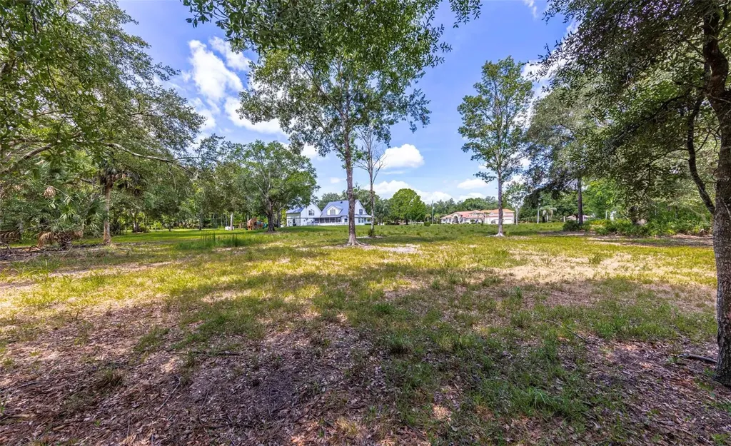 8844 Shenandoah Run Wesley Chapel FL 33544