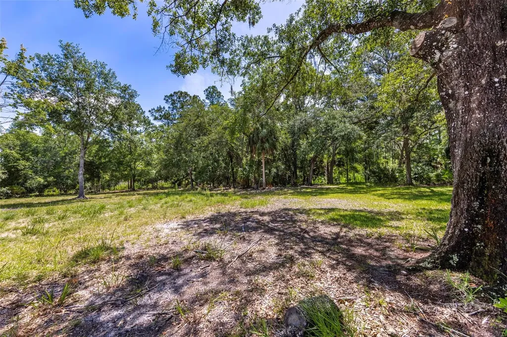 8844 Shenandoah Run Wesley Chapel FL 33544