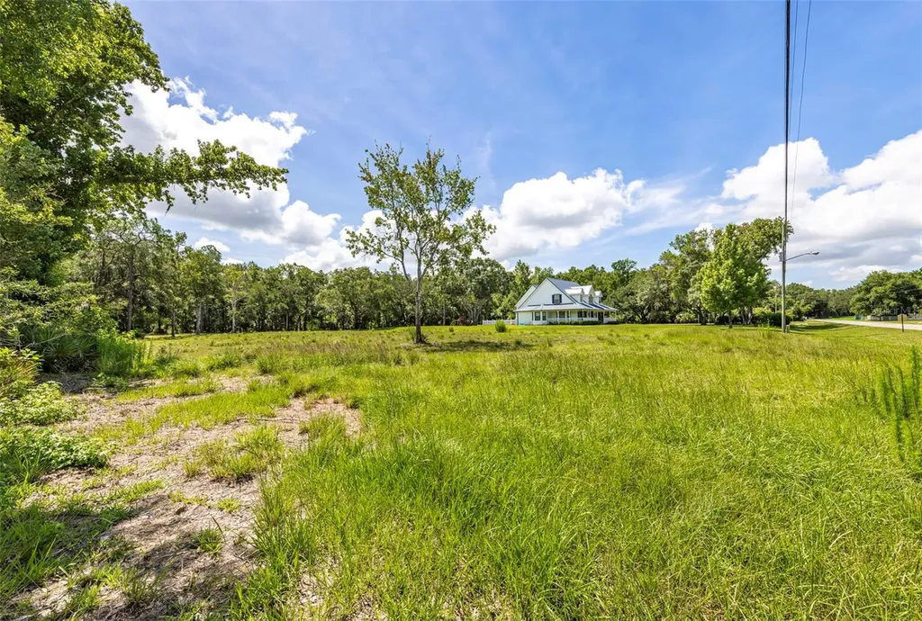 8844 Shenandoah Run Wesley Chapel FL 33544