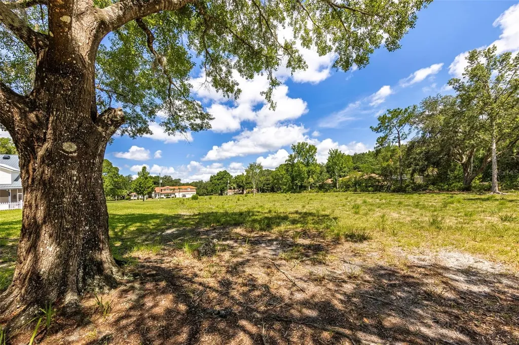 8844 Shenandoah Run Wesley Chapel FL 33544