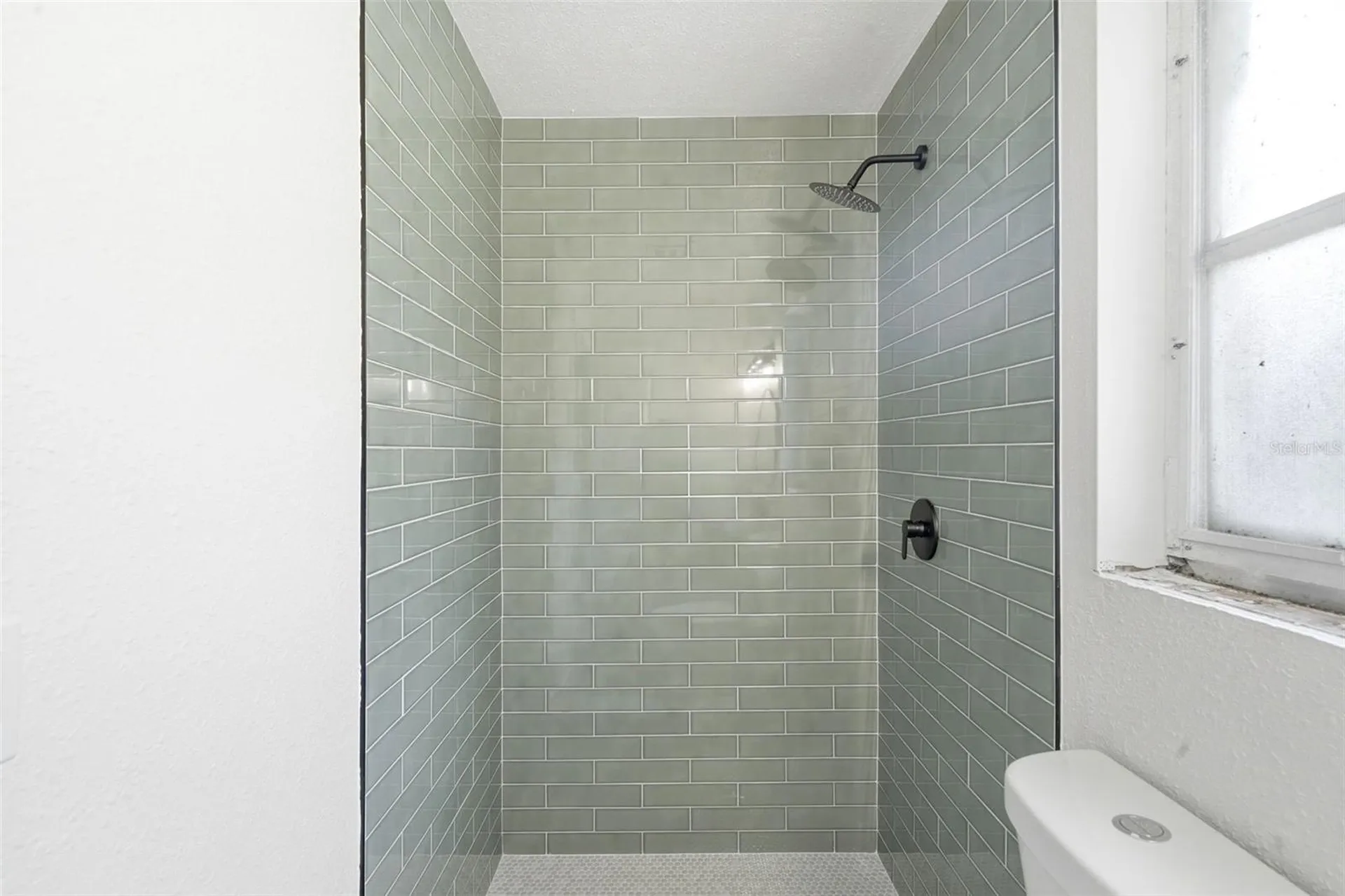 4146 Cactus Lane Mount Dora FL 32757