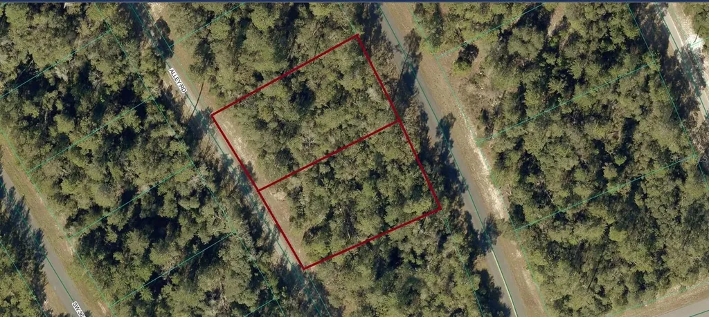 8002-0009-06 & 07 Alley Road Ocala FL 34473