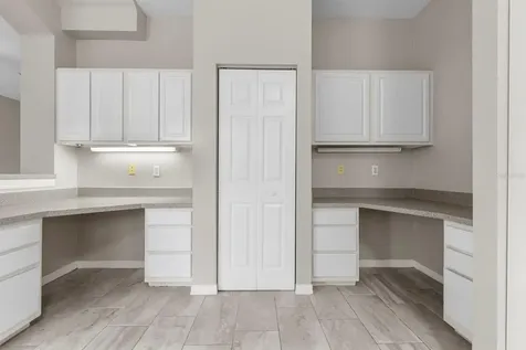 5039 Sunridge Palms Drive Tampa FL 33617